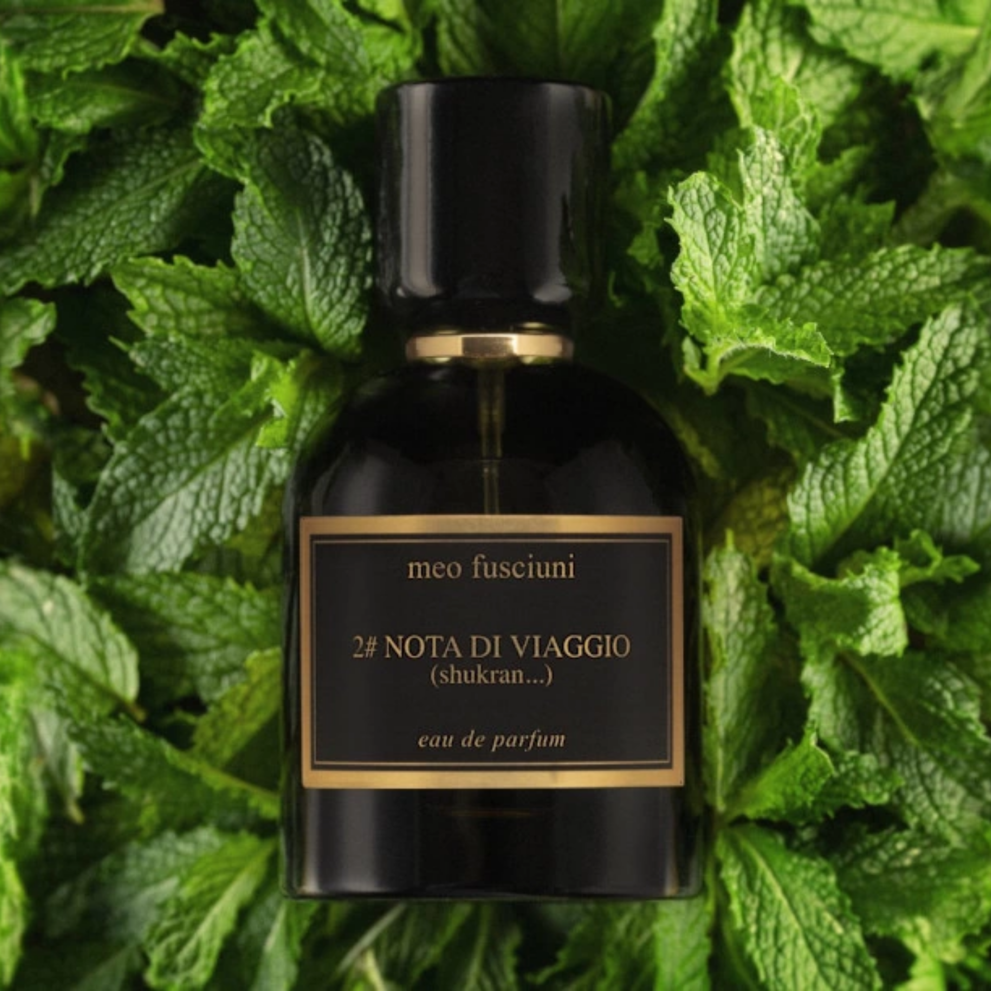 2#Nota Di Viaggio 100 ml Edp