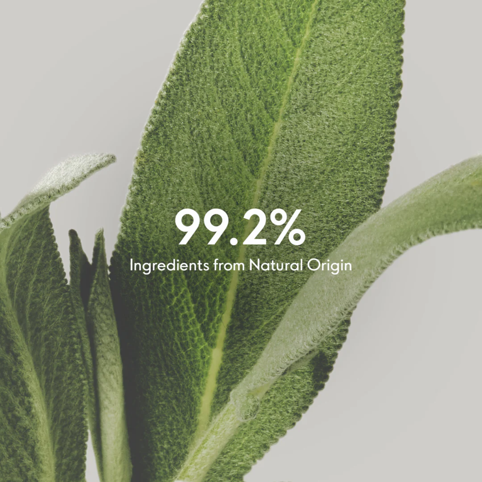 Advanced Anti-Aging Rich Cream 50 ml