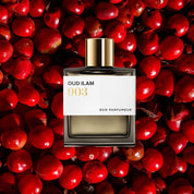 n#903 Oud Ilam
