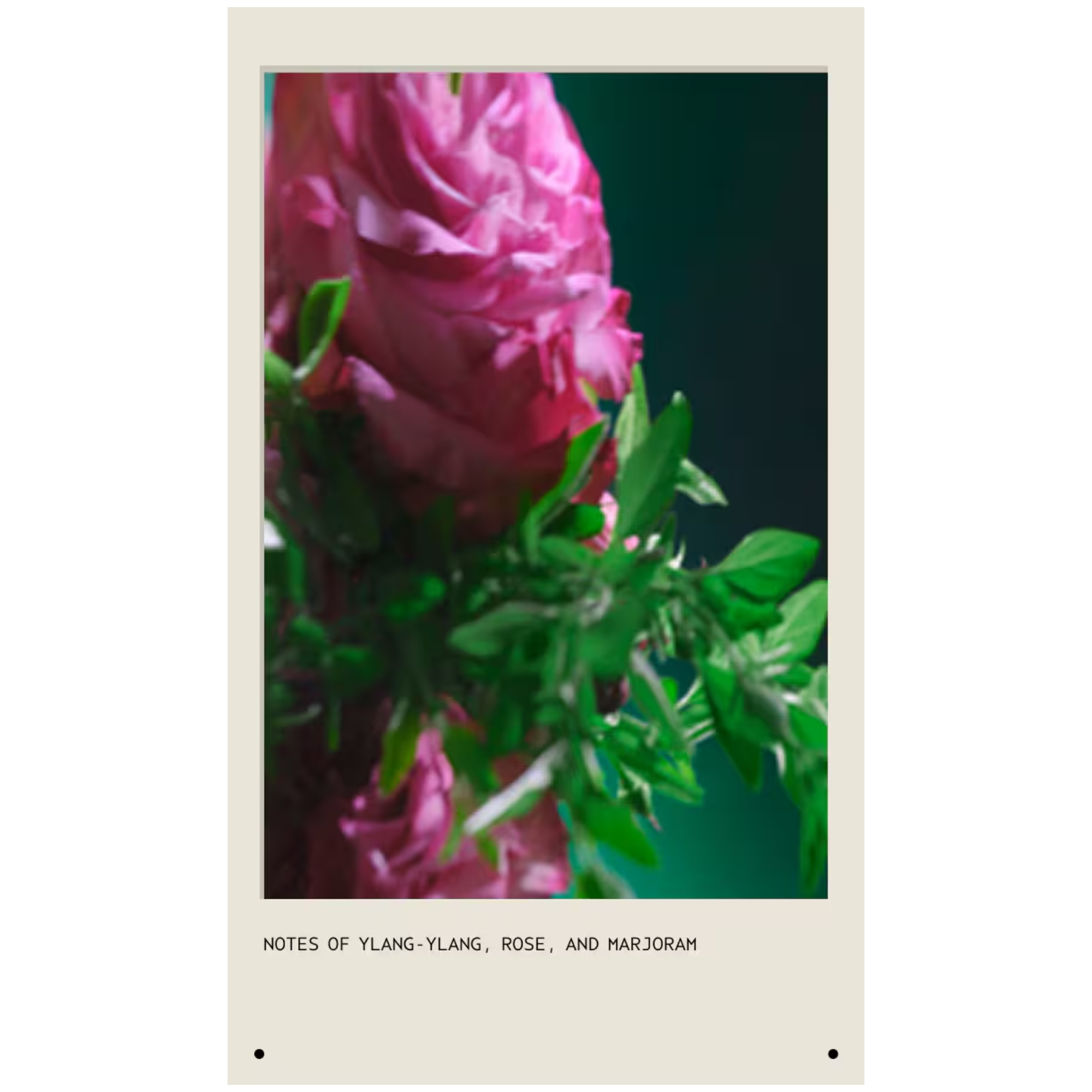 Botanical Repair Intensive Strengthening Masque Light 150 ml