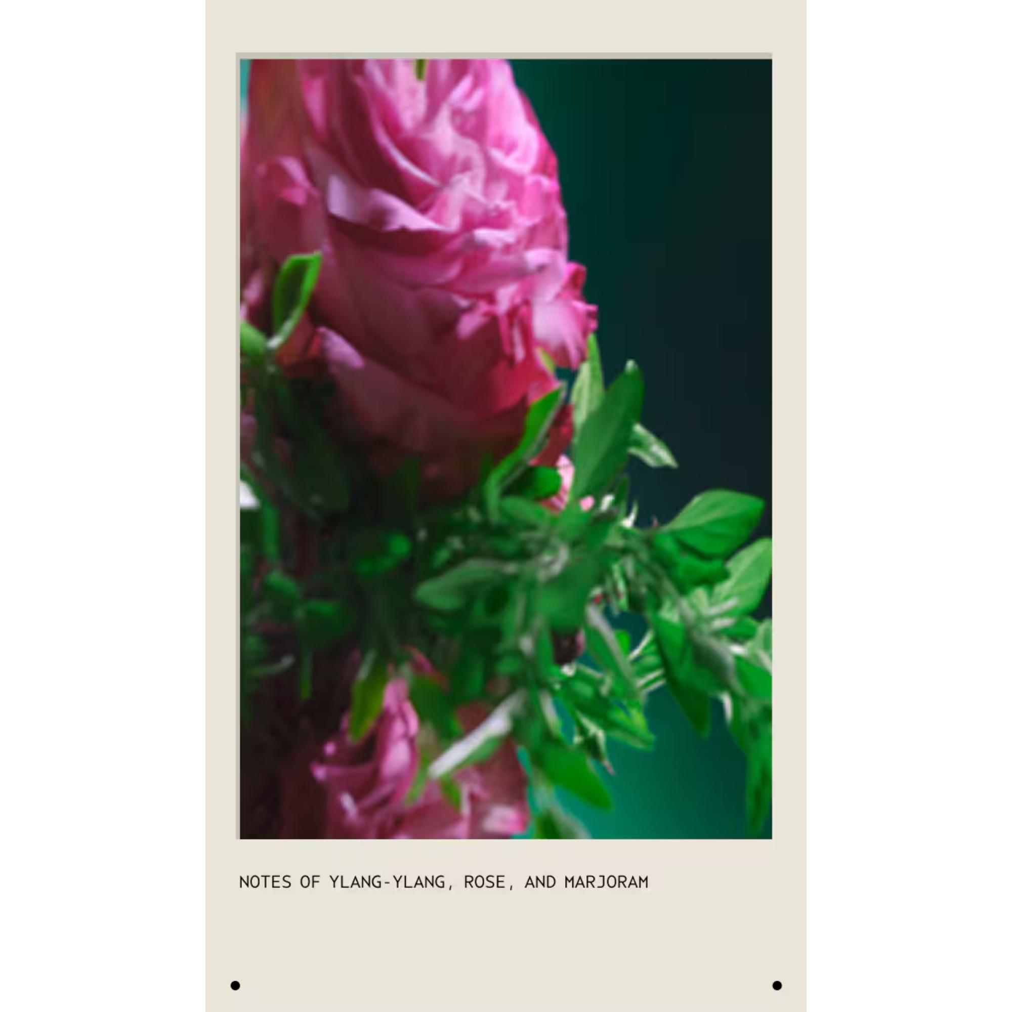 Botanical Repair™ Overnight Repair Serum 100 ml