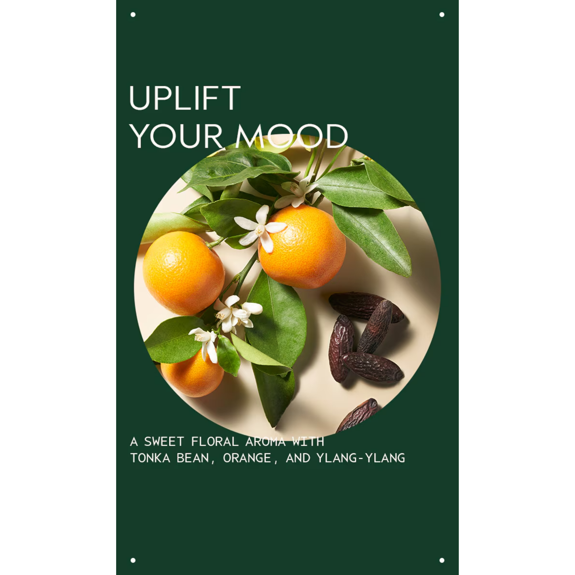 Cherry Almond Body Lotion 200 ml