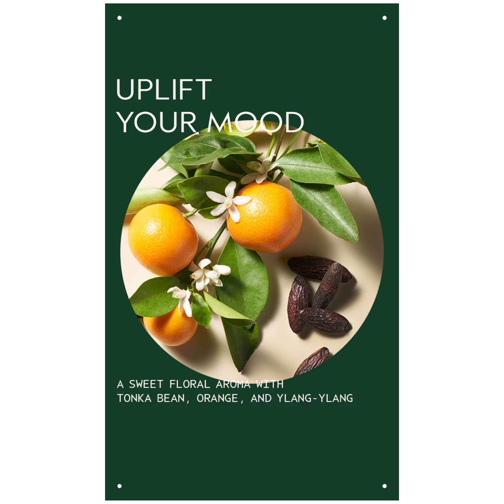 Cherry Almond Shampoo 250 ml