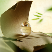 Chinese Calligraphy 50 ml