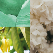 Dialogue With Venus EDP