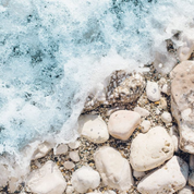 Dialogue With Venus EDP