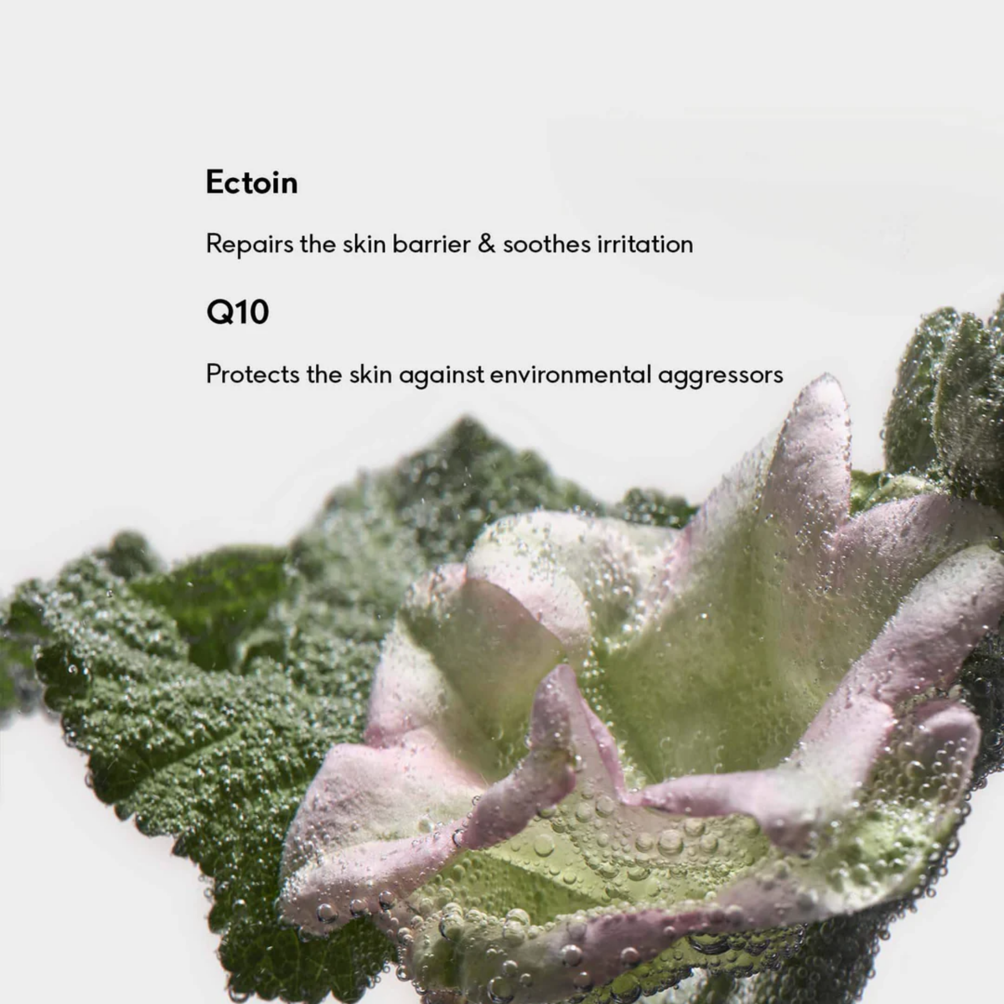 Ectoin Repair Serum 30 ml