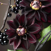 Gryffindor - Limited Edition, Extrait de Parfum 75 ml