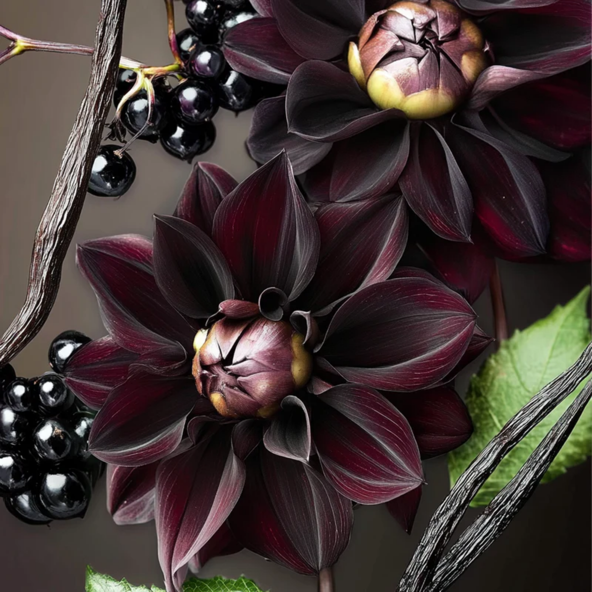 Gryffindor - Limited Edition, Extrait de Parfum 75 ml