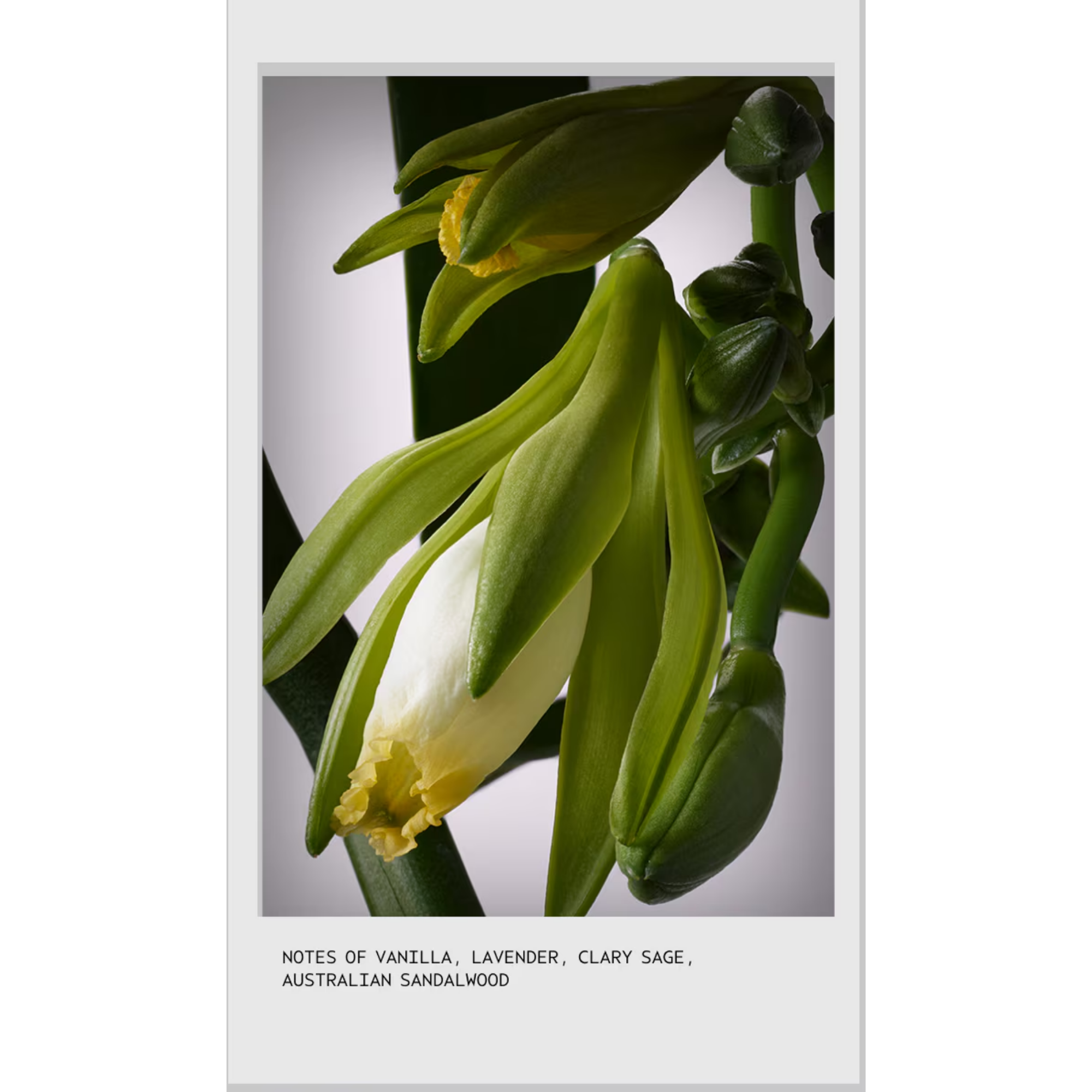 Invati Ultra Advanced Exfoliating Shampoo Light 200 ml