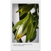 Invati Ultra Advanced Serum 150 ml