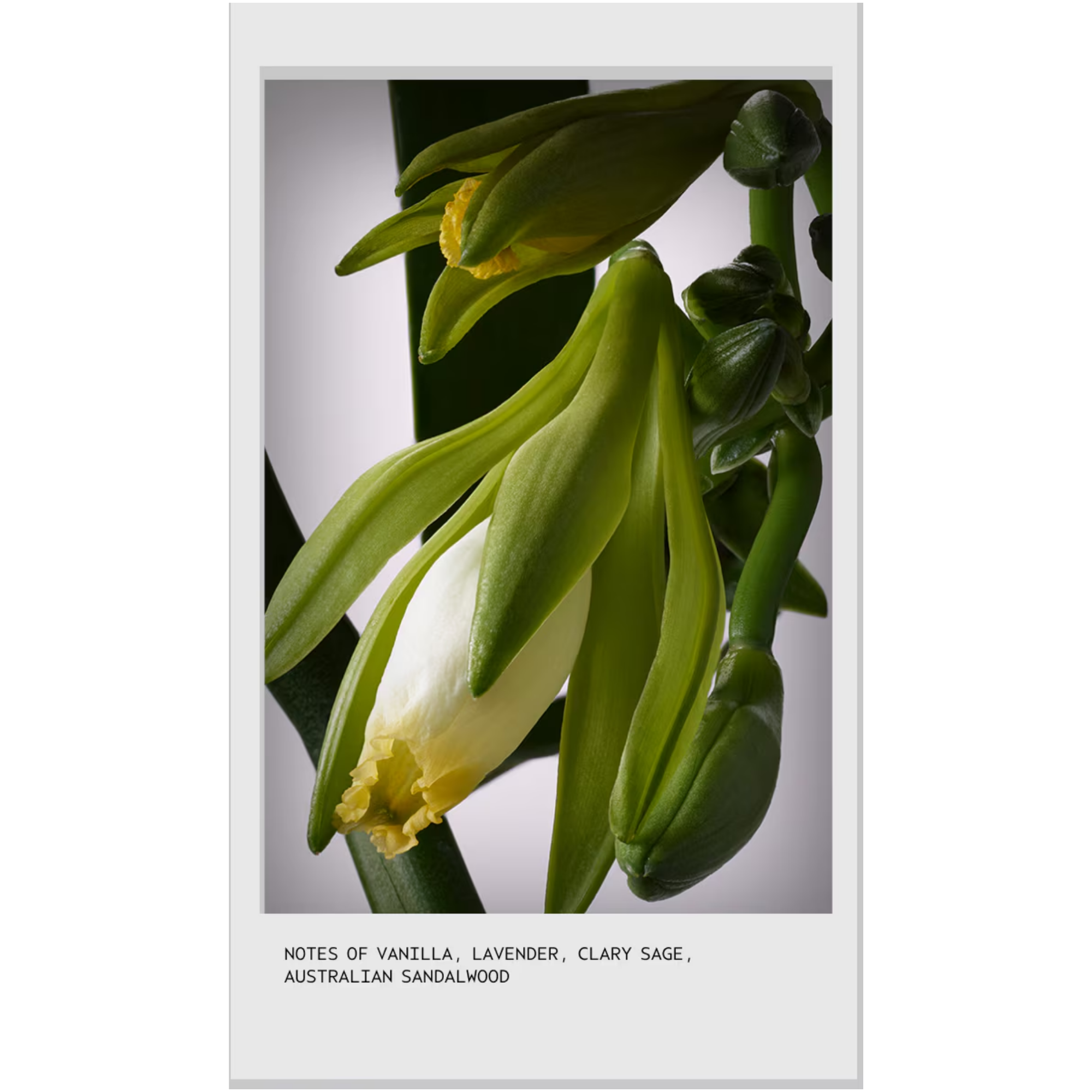 Invati Ultra Advanced Serum 150 ml