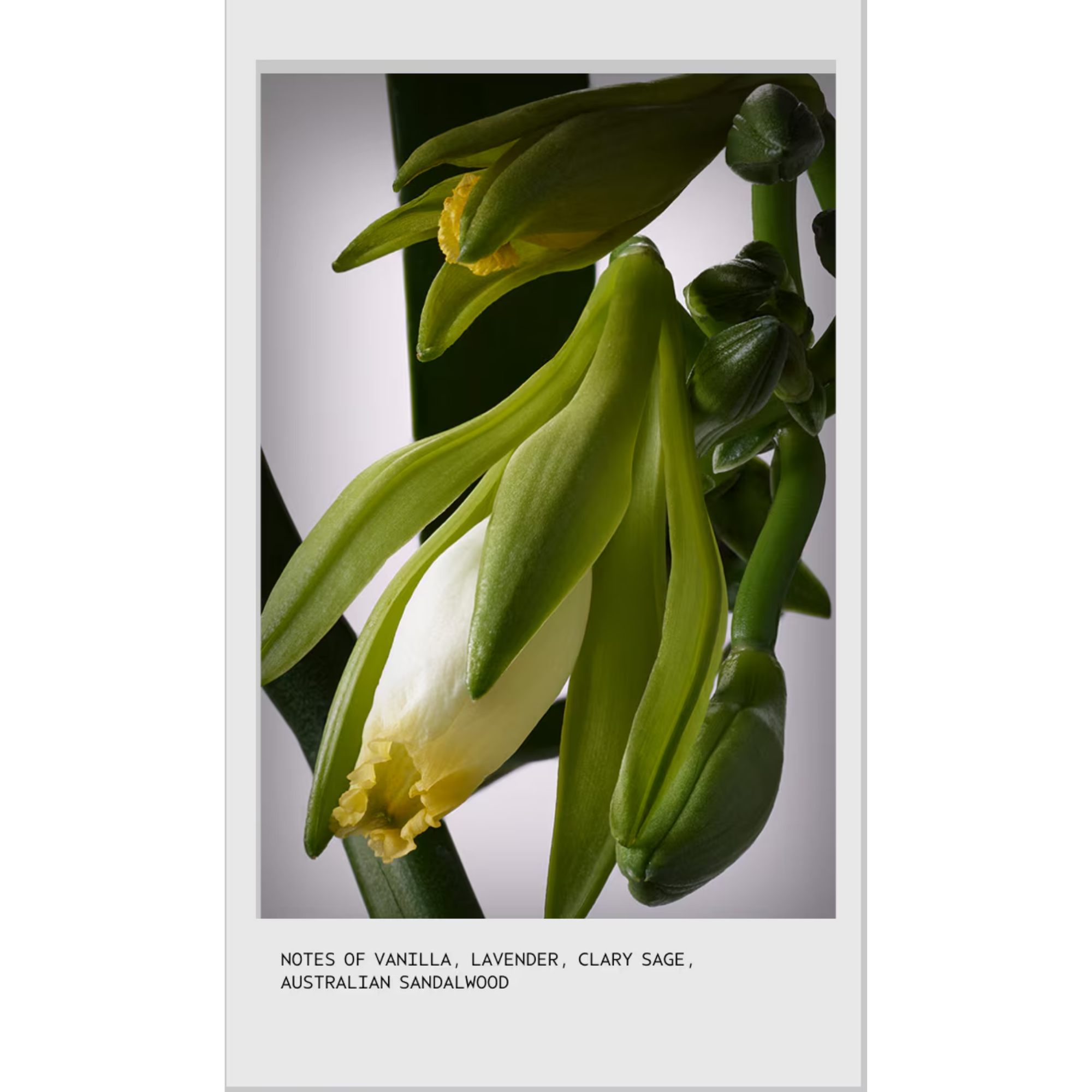 Invati Ultra Advanced  Thickening Conditioner Light 200 ml