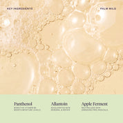 Palm Wild Hand Wash Refill 500 ml