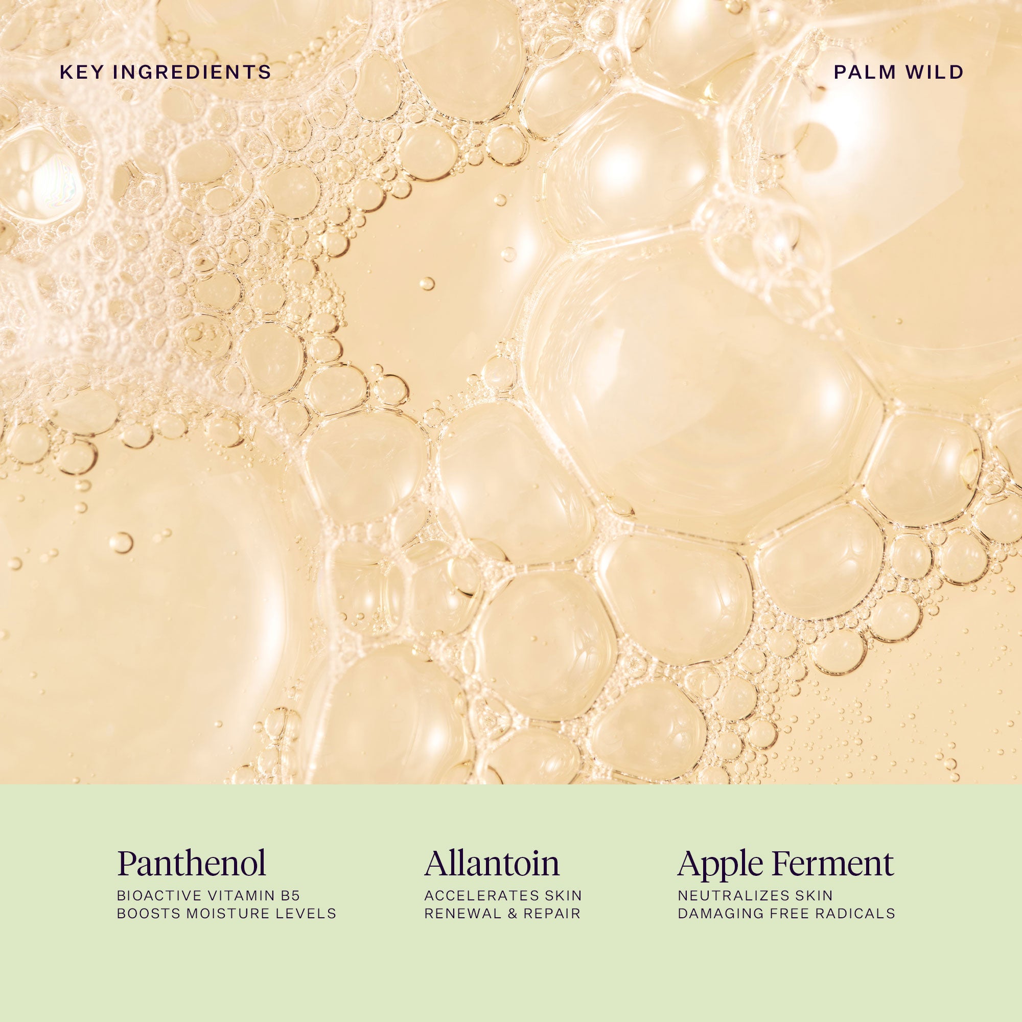 Palm Wild Hand Wash Refill 500 ml