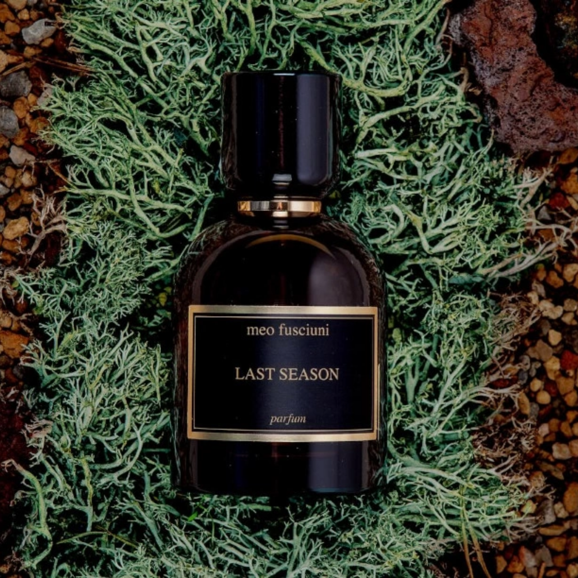 LASTSEASON100mlparfum-2.png