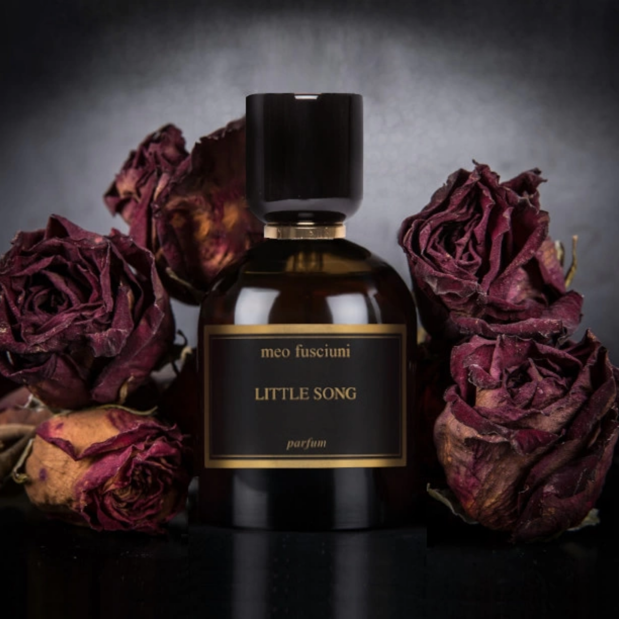 LITTLESONG100mlparfum-1.png