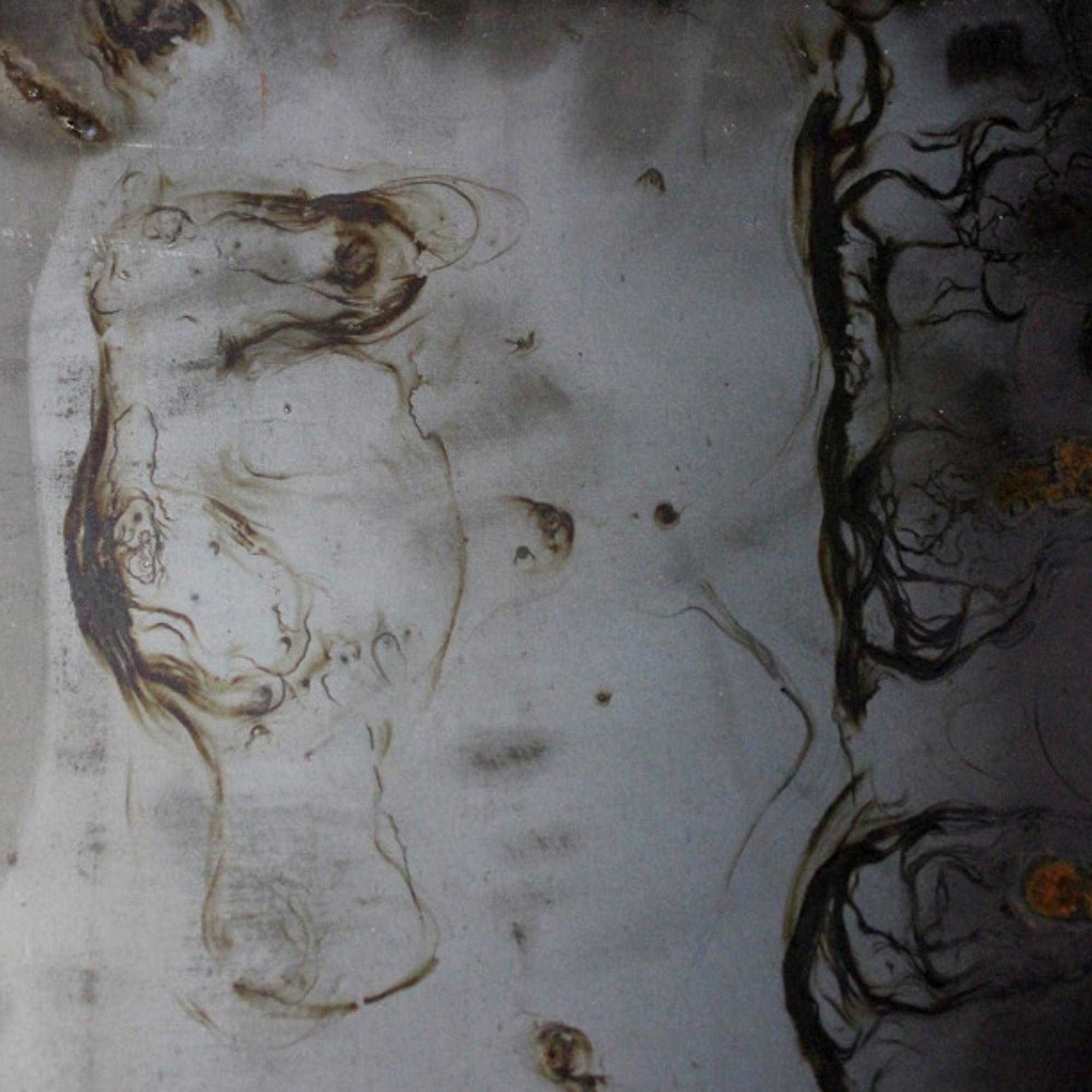 L'oblio 100 ml Parfum