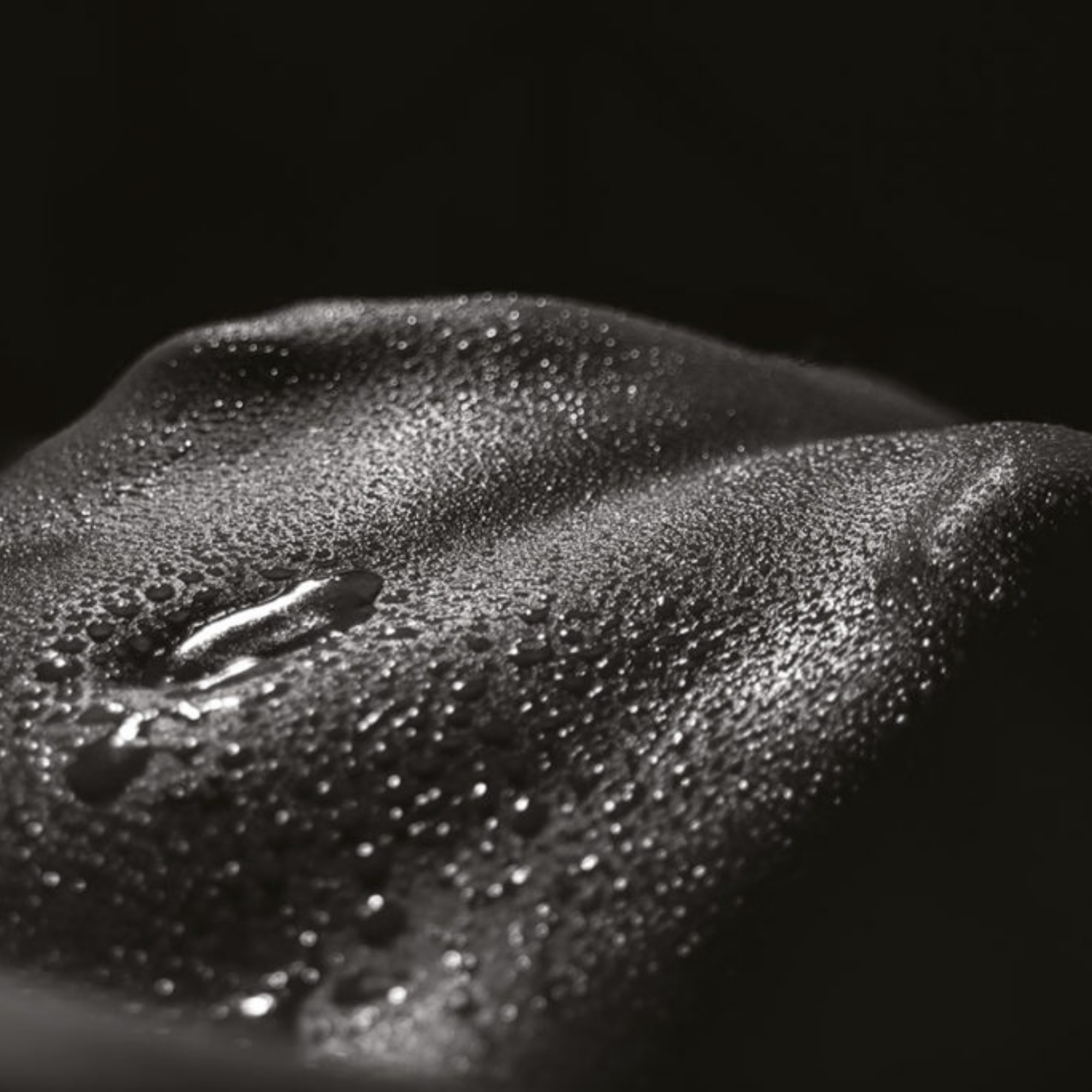 Liqueur Charnelle EDP