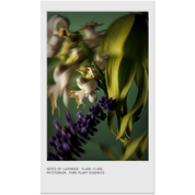 Nutriplenish™ Miraculous Oil High-Shine Hair Concentrate 50 ml