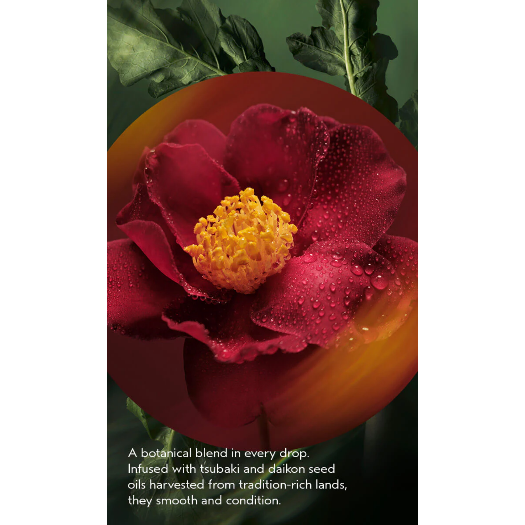 Nutriplenish™ Miraculous Oil High-Shine Hair Concentrate 50 ml