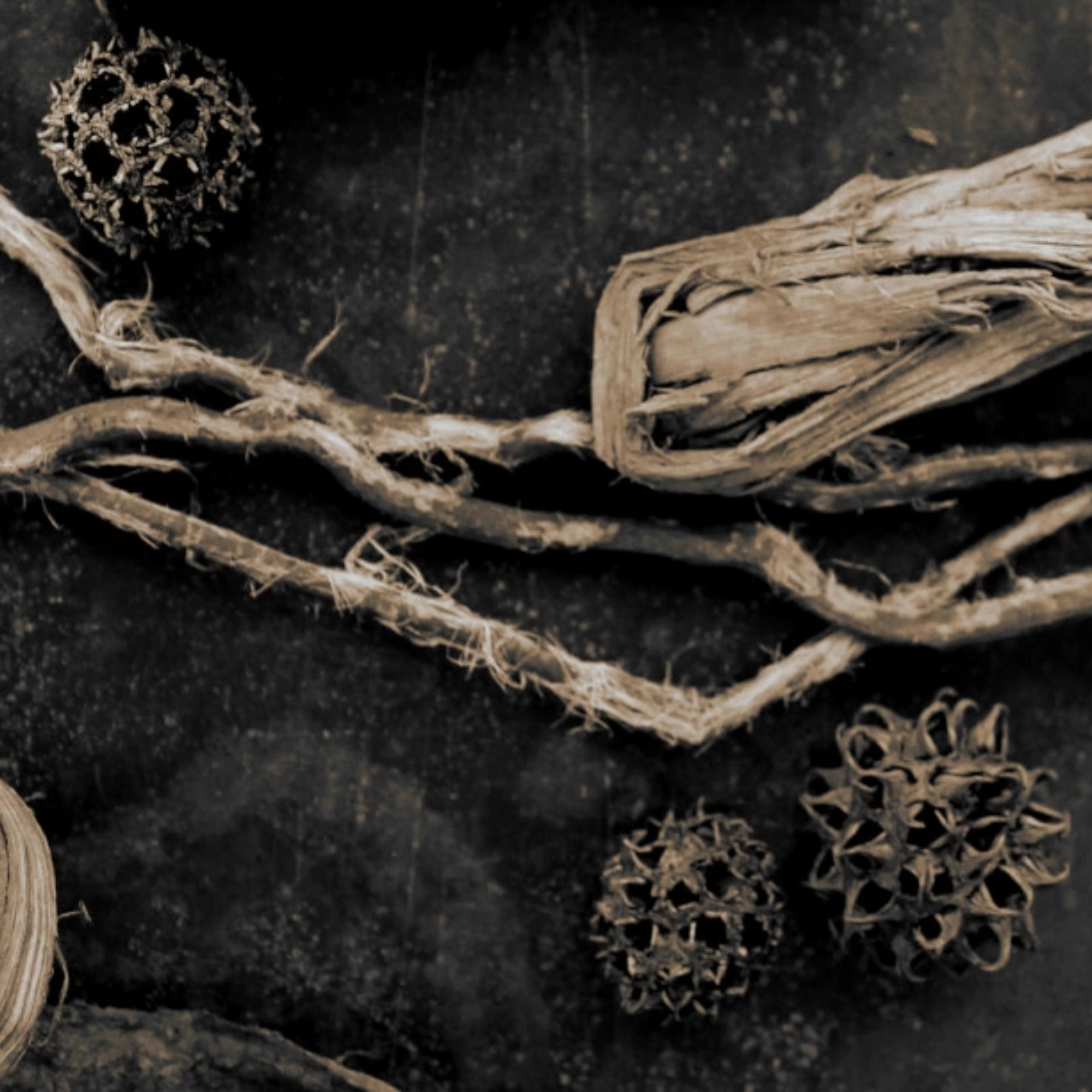 Odor 93 100 ml Parfum