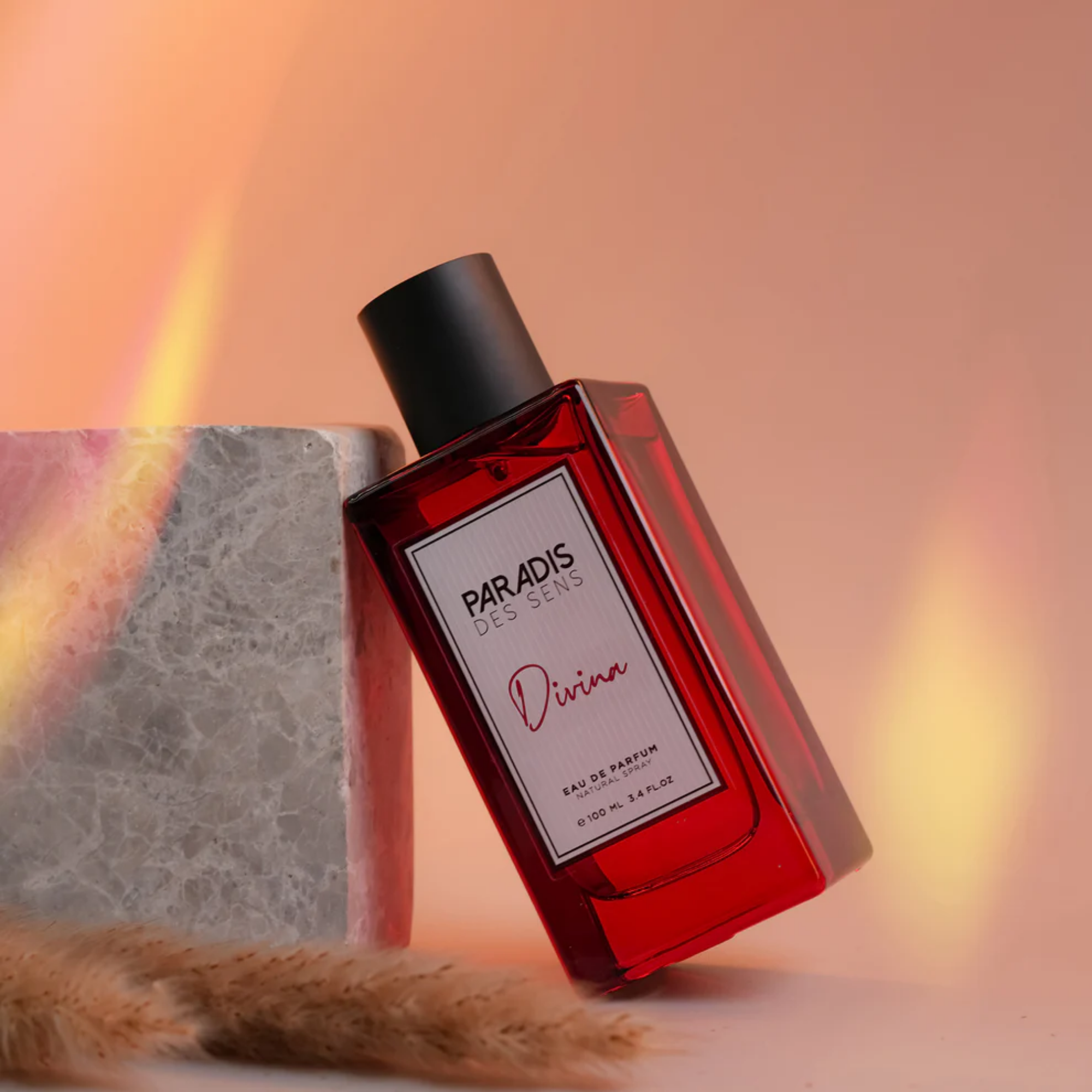 PDSDIVINAEAUDEPARFUM100ML-2.png