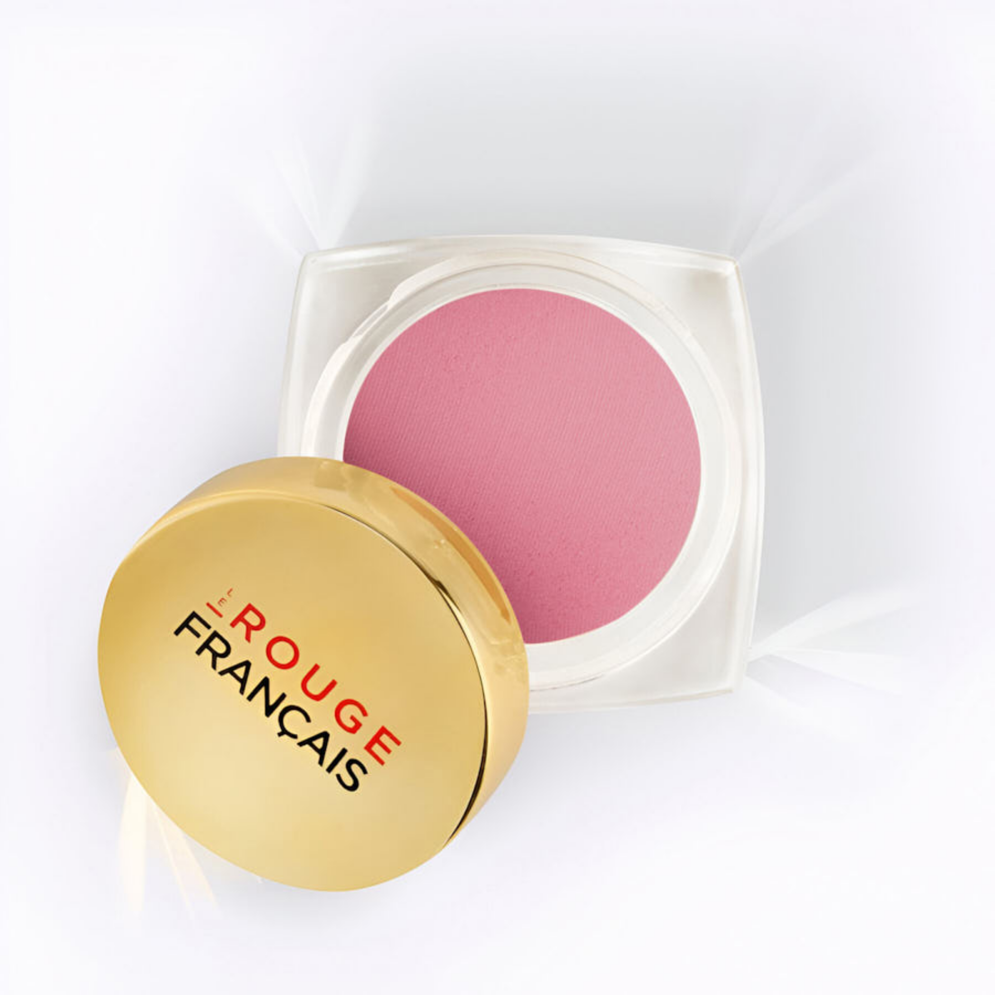 POWDER BLUSH 310 THÉODORA