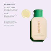 Palm Wild Hand Wash Refill 500 ml