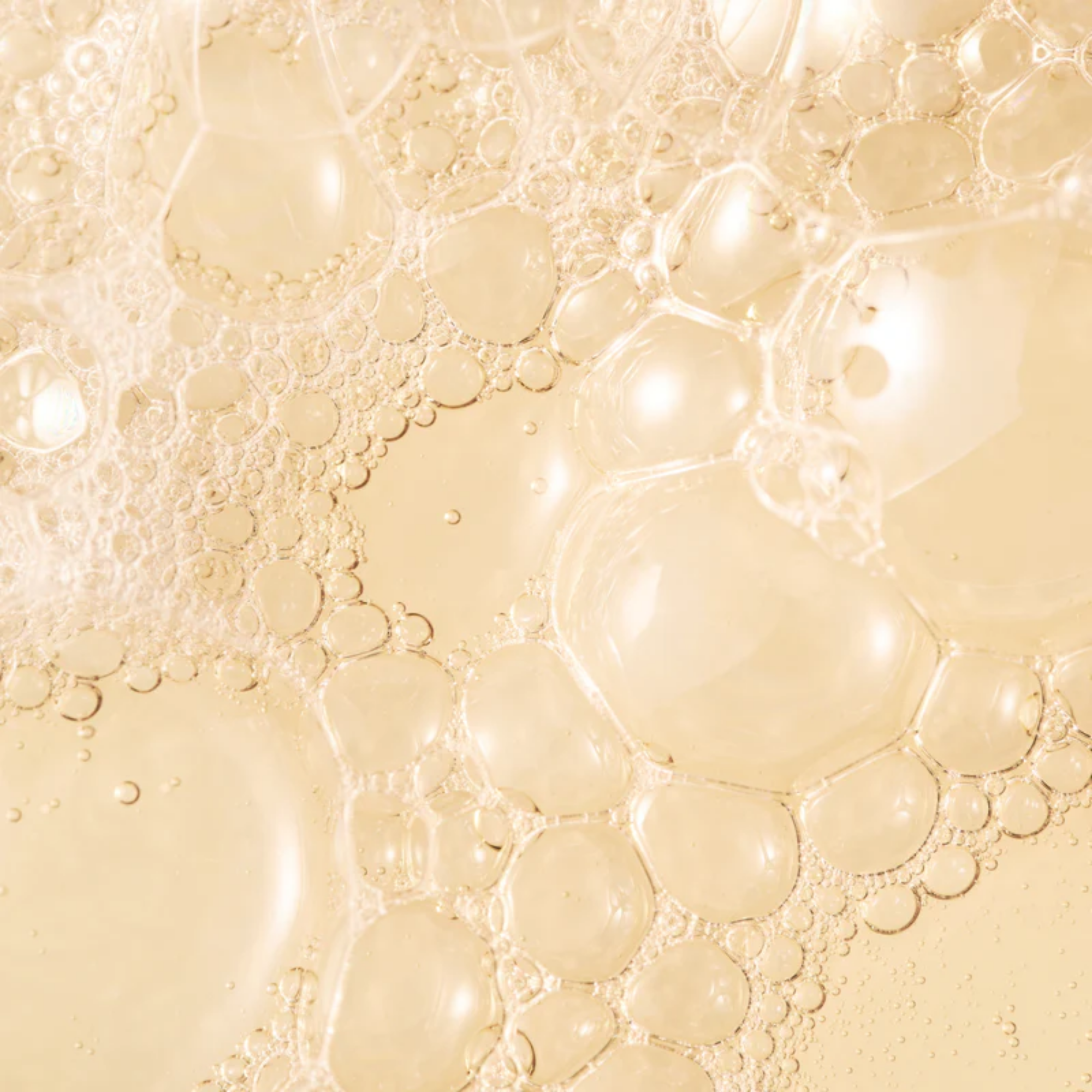 Palm Wild Hand Wash Refill 500 ml