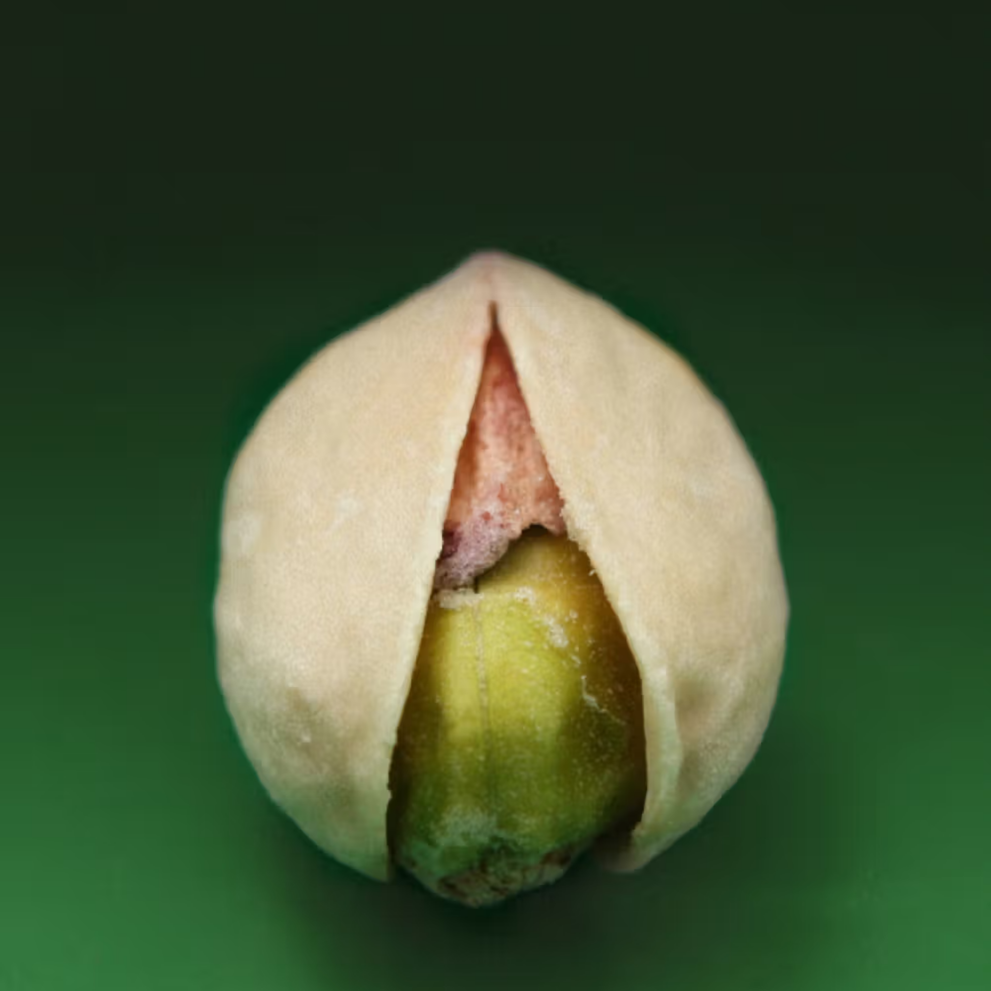 Pistachio EDP