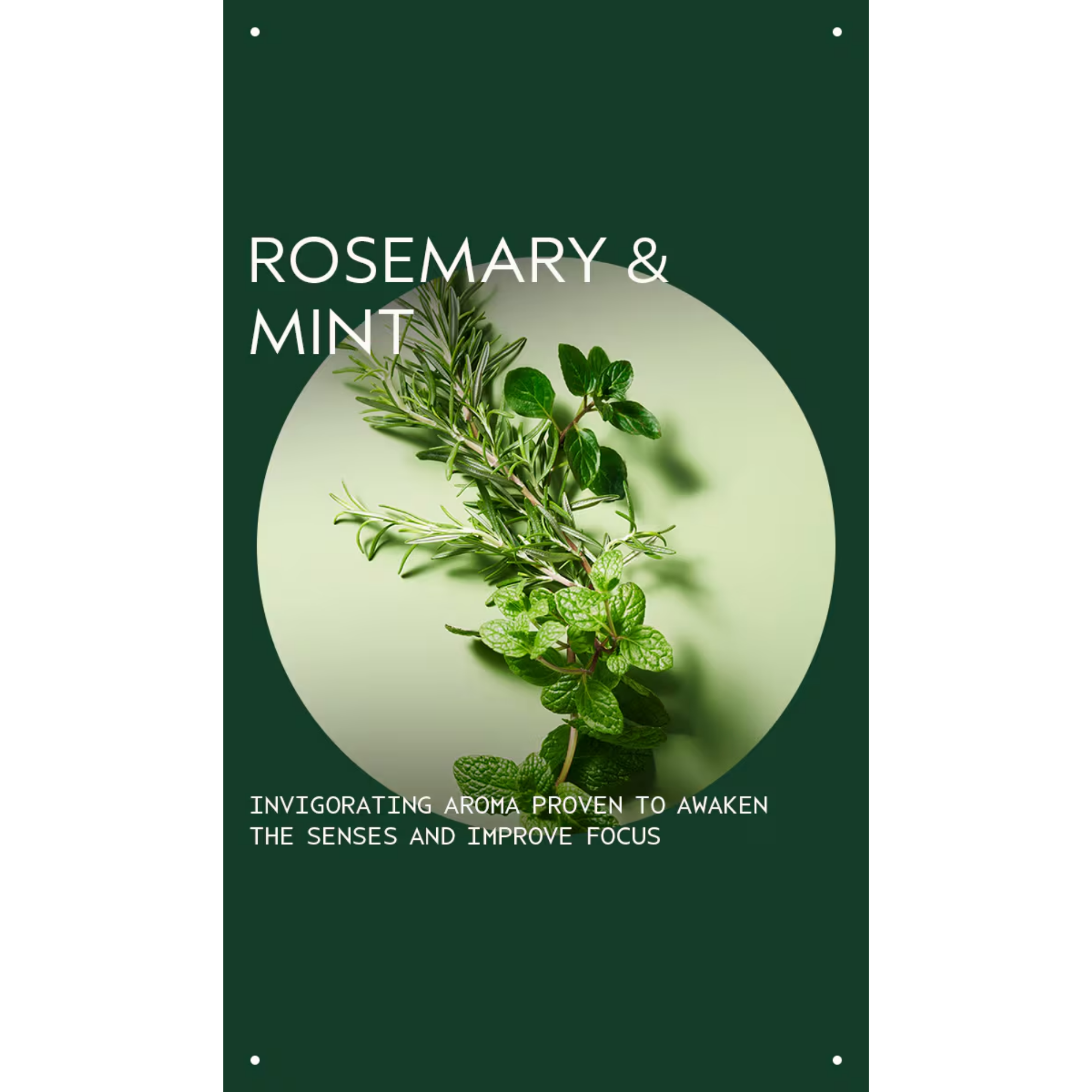 Rosemary mint purifying shampoo 250 ml