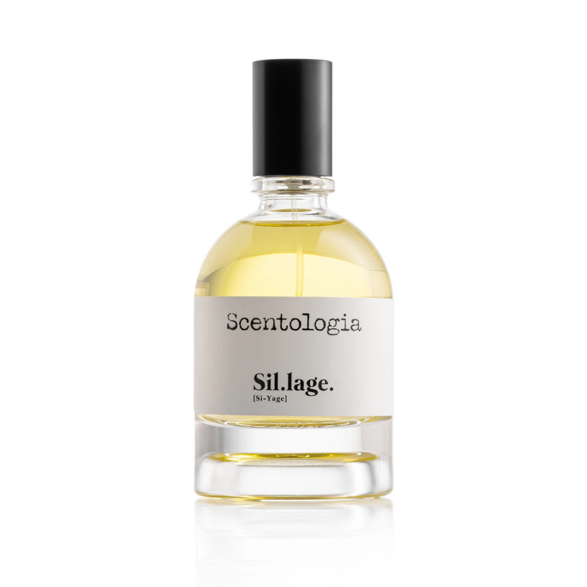 SCENTOLOGIA_SILLAGE_EDP_100ML_3551440586045.png