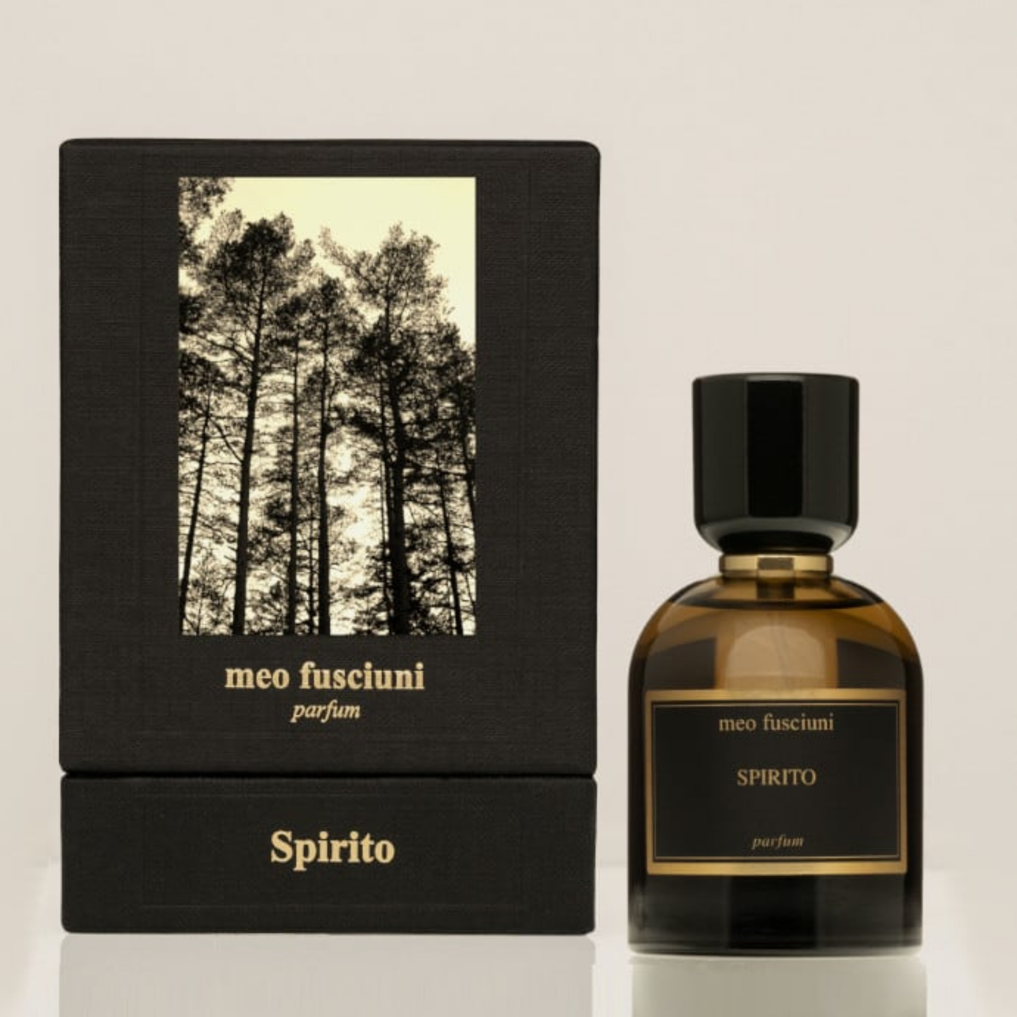 SPIRITO100mlparfum-2.png