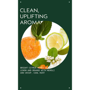 Scalp Solutions Balancing Shampoo 200 ml