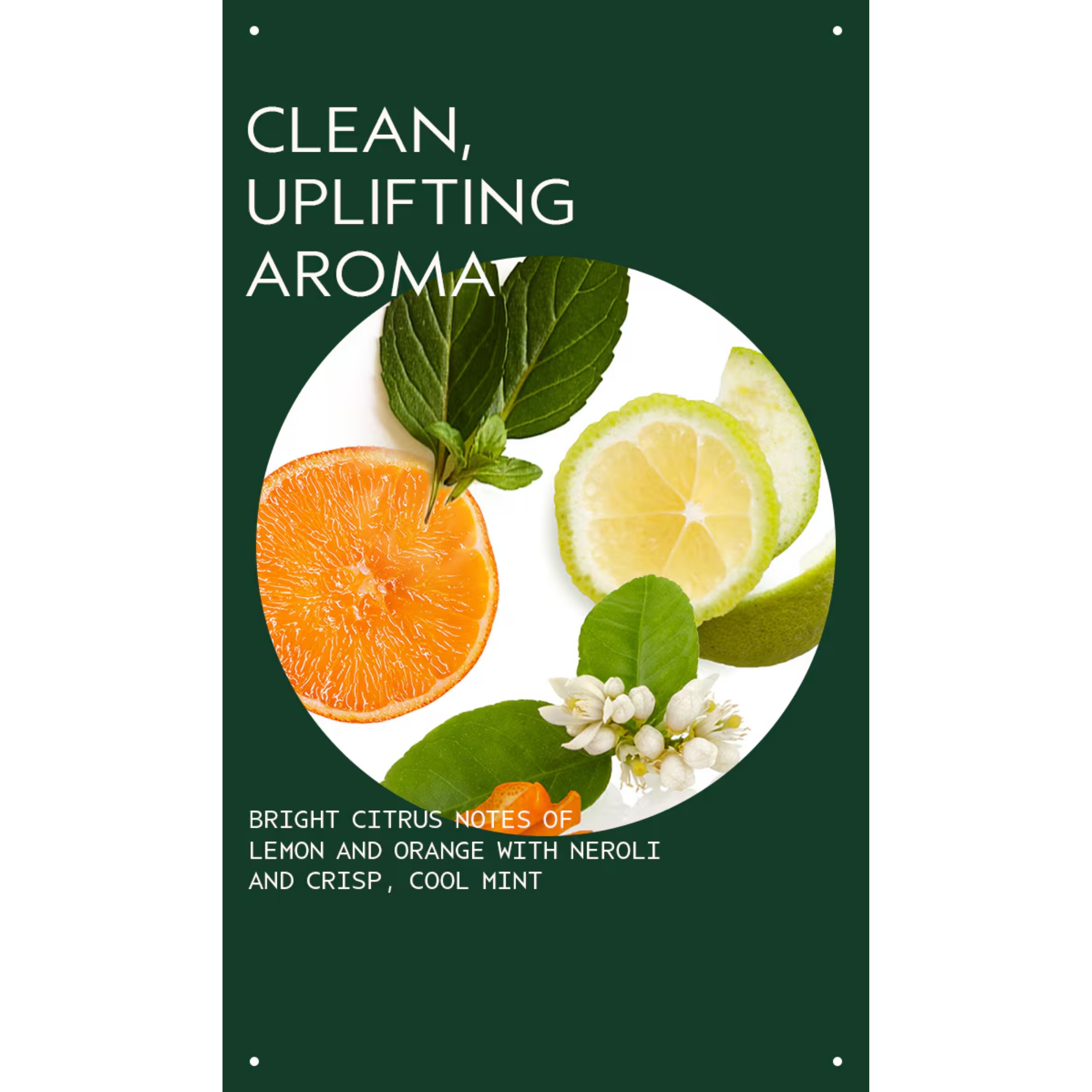 Scalp Solutions Exfoliating Scalp Treatment 150 ml