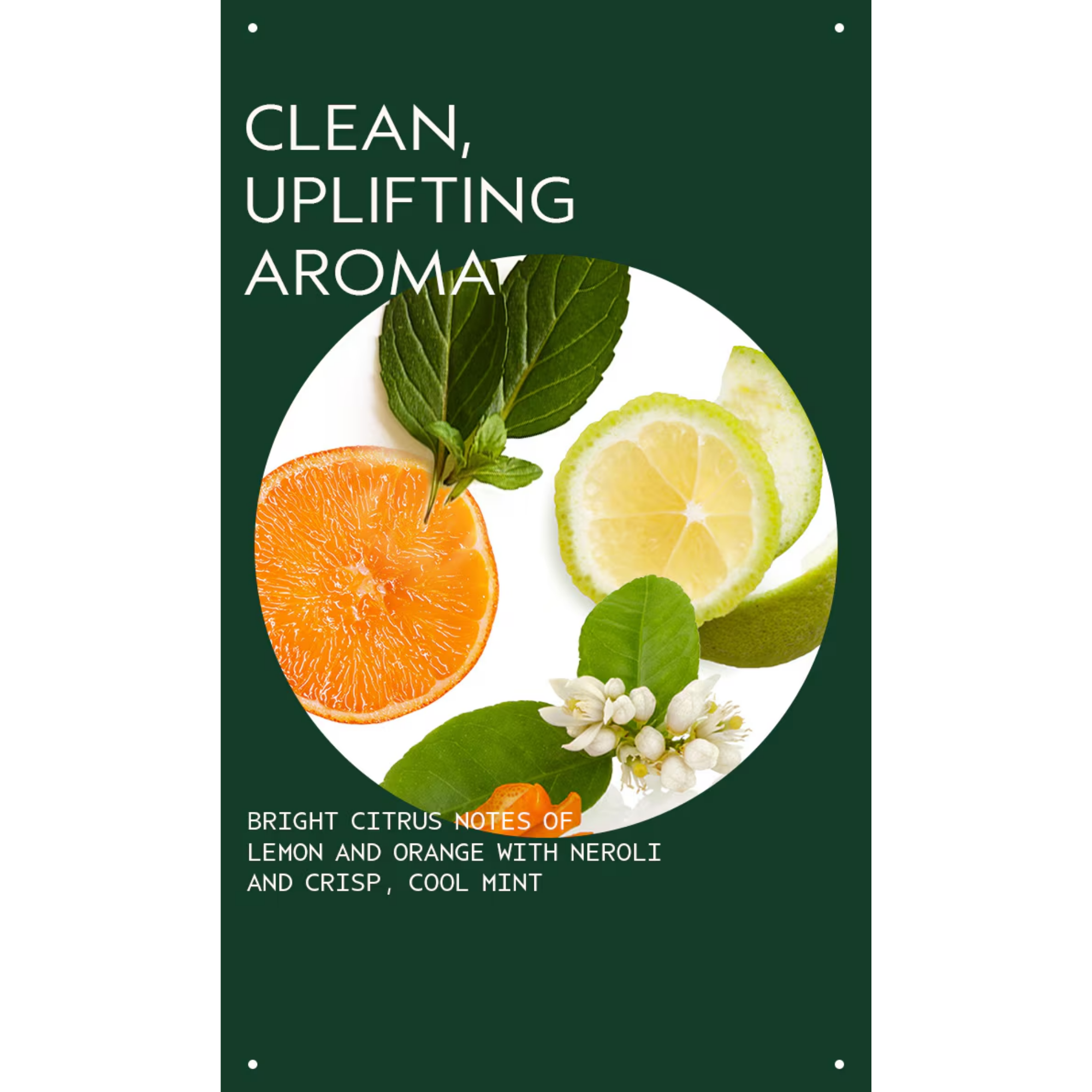 Scalp Solutions Overnight Scalp Renewal Serum 50 ml