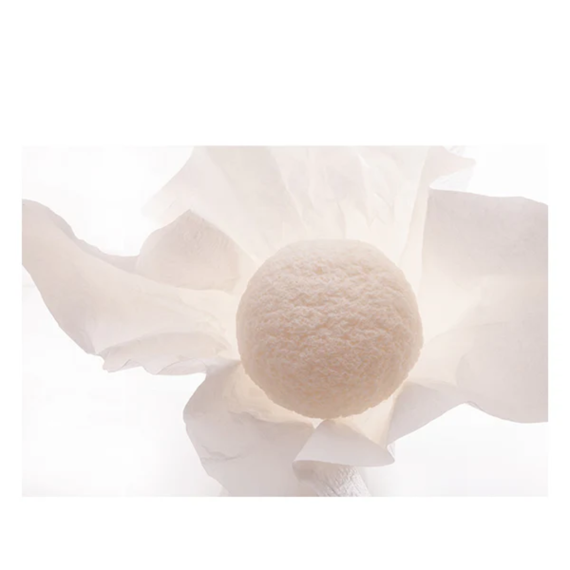 Simple and Silky Smooth Konnyaku Face Sponge (Pearl）