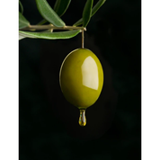 The Body Oil 100 ml