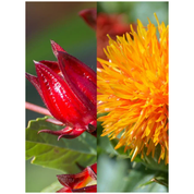 The Eyebrow & Lash Enhancing Serum 8 ml