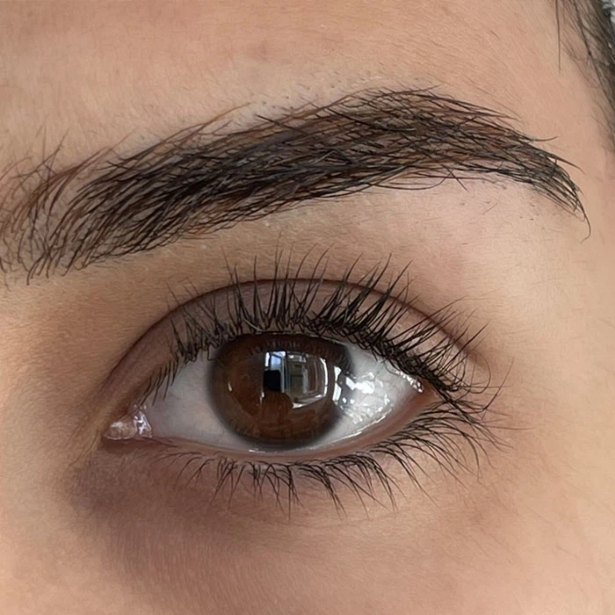 The Eyebrow & Lash Enhancing Serum 8 ml