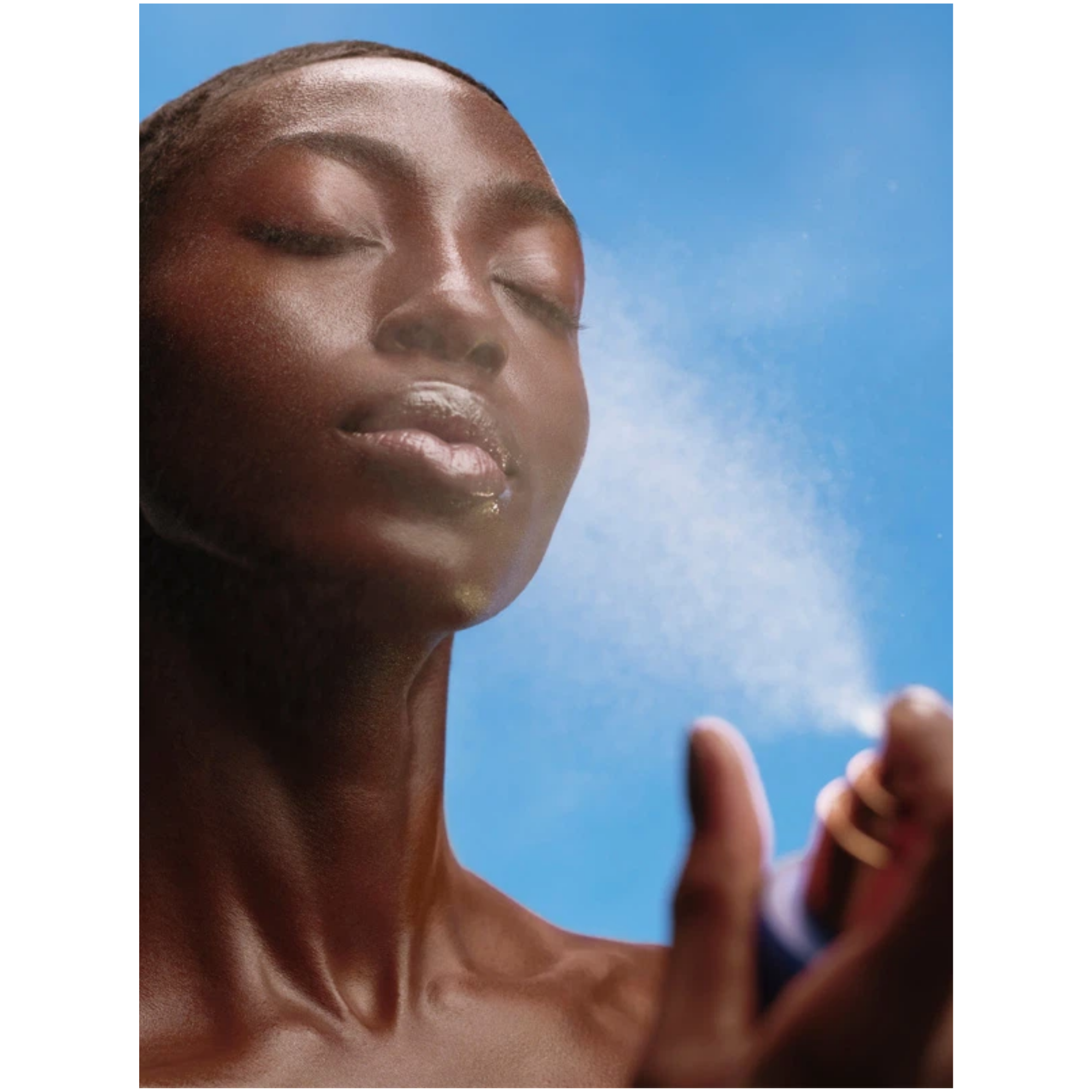 The Face Mist 100 ml