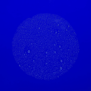 The Face Mist 100 ml