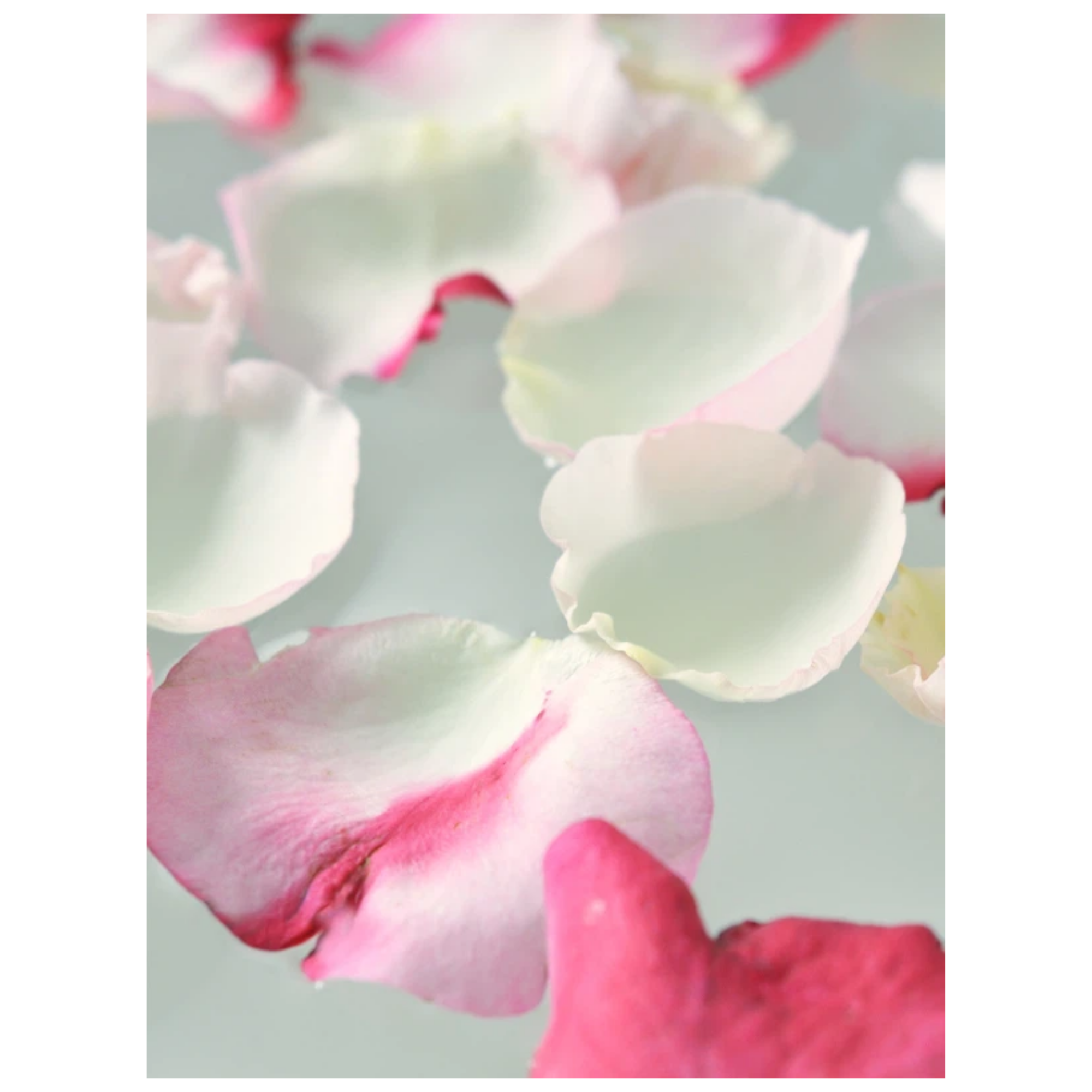 The Face Mist 100 ml