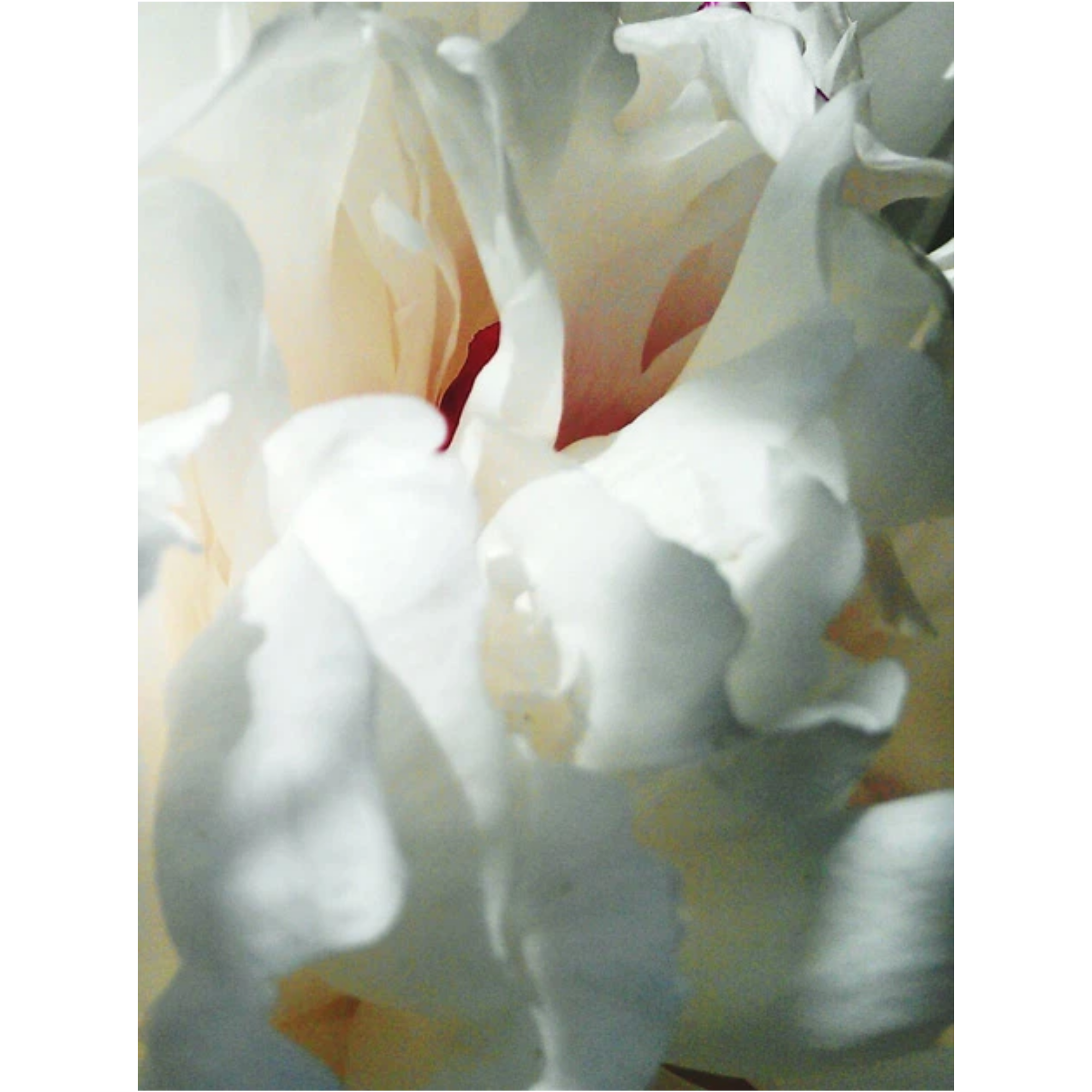 The Hand Treatment 50 ml