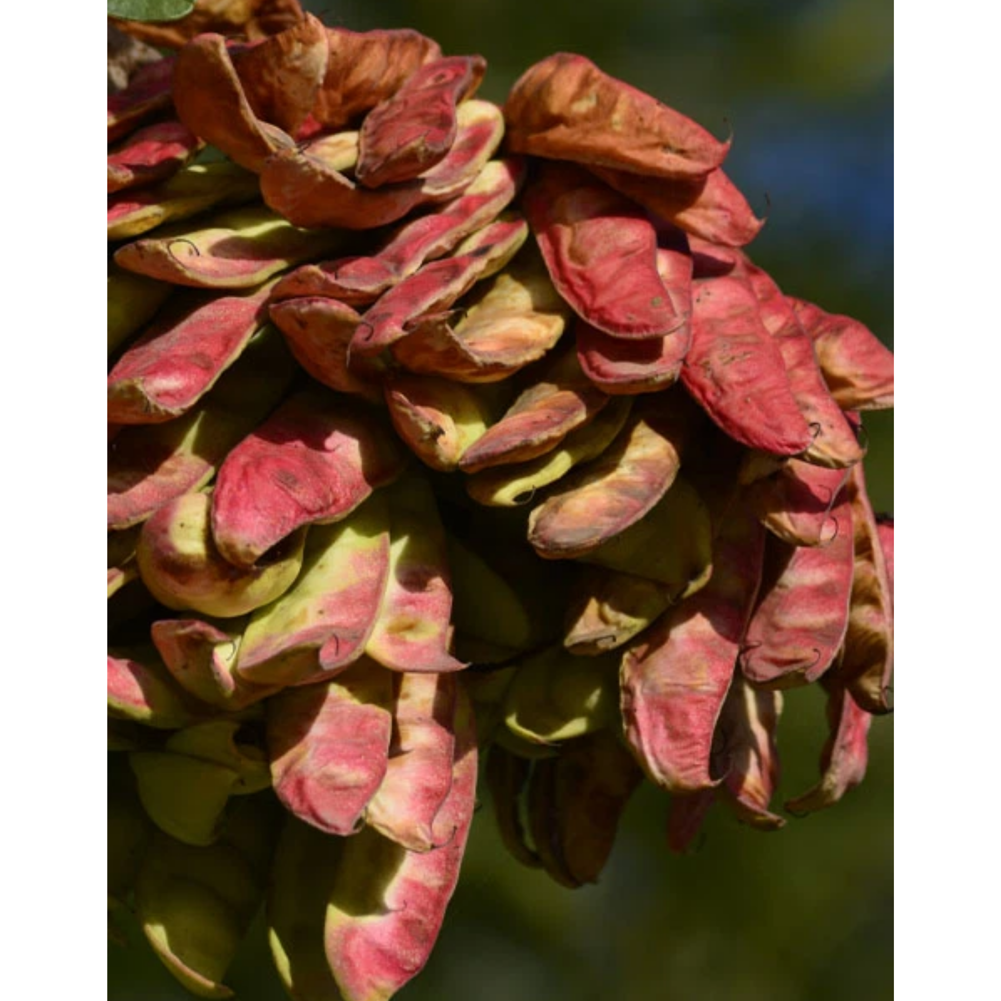 The Leave In Treatment 100 ml ROW