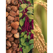 The Rich Conditioner 150 ml