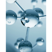 The Rich Renewal Trio