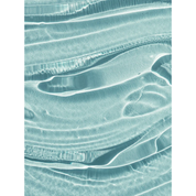 The Sunscreen SPF 50 30 ml