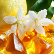 Tom And Jerry Extrait de Parfum 75 ml